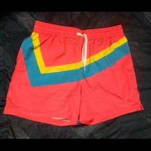 Men's Chubbies Swim Trunks